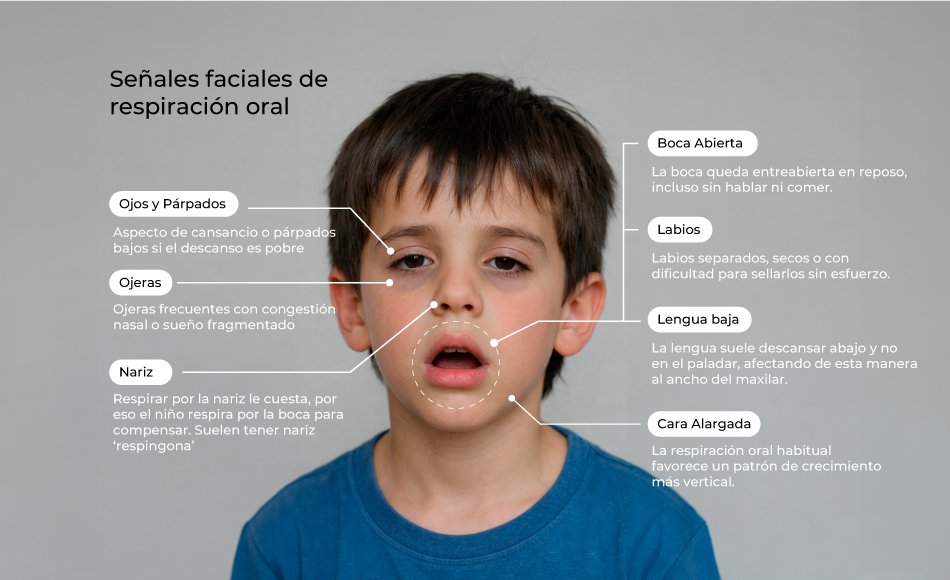 respiracion-oral-infantil
