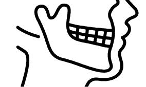 ortognatica